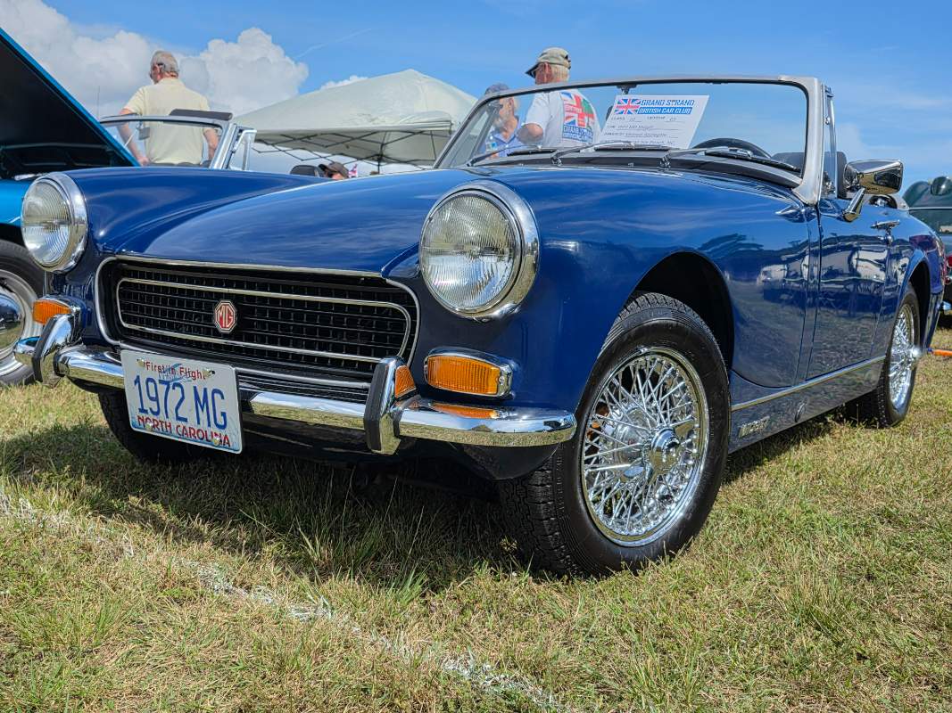 Little Blue