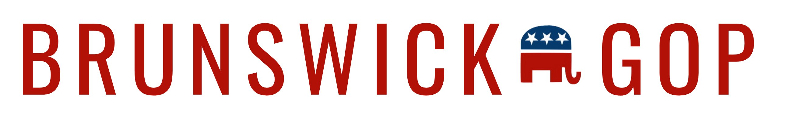 Brunswick County Republican Party Logo