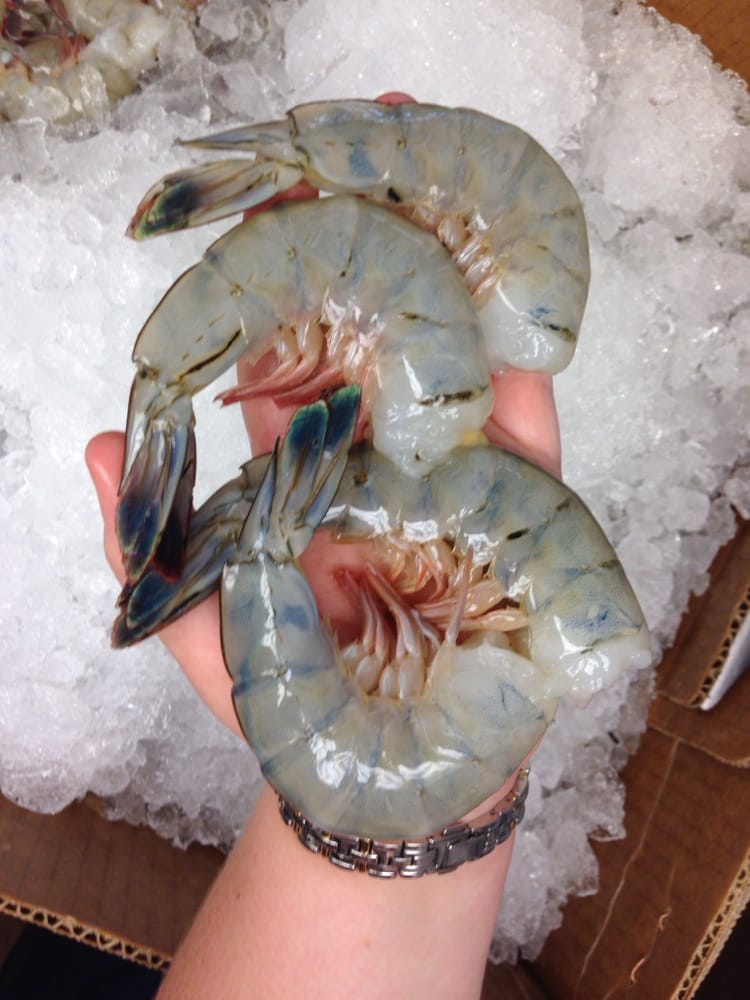 Captain Jacks Seafood of Ocean Isle Beach Logo